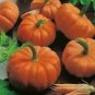 6 Pcs Orange Red Pumpkin Flat Big Vegetables Seeds
