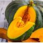 6 Pcs Small Sand Sweet Pumpkin Seeds