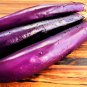 15 Pcs Bright Purple Thin Long Eggplant Seeds