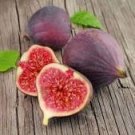 5 Pcs Rose Red Fig Ficus Carica Tree Fruits Seeds 5 Pcs Rose Red Fig Ficus Carica Tree Fruits Seeds