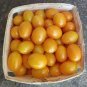 100 Pcs Cherry Tomato 'Yellow Grape' Fruit Seeds