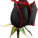 50 Pcs Rose Black Dark Red Blood White Red Blue Mixed Perennial Climbing Flower 50 Pcs Rose Black Dark Red Blood White Red Blue Mixed Perennial Climbing Flower