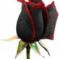 50 Pcs Rose Black Dark Red Blood White Red Blue Mixed Perennial Climbing Flower