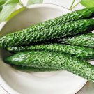 50 Pcs Cucumber Japanese Crisp Tender Tasty Vegetable