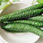 50 Pcs Cucumber Japanese Crisp Tender Tasty Vegetable