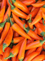 20 Pcs Chilli Bulgarian Carrot Hot Pepper Seeds