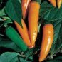 20 Pcs Chilli Bulgarian Carrot Hot Pepper Seeds