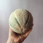 20 Pcs Sweet Melon Canteloupe Retato Delgi Fruit Seeds