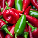 20 Pcs Chilli Red Jalapeno Chili Hot Pepper Seeds 20 Pcs Chilli Red Jalapeno Chili Hot Pepper Seeds