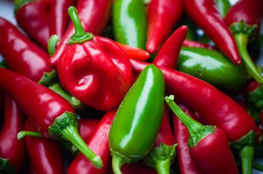20 Pcs Chilli Red Jalapeno Chili Hot Pepper Seeds