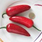 20 Pcs Chilli Red Jalapeno Chili Hot Pepper Seeds
