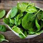 50 Pcs Spinach Heritage New Zealand Seeds