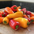 30 Pcs Pepper Sweet Orange Vegetable