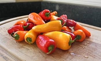 30 Pcs Pepper Sweet Orange Vegetable