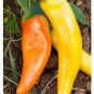 30 Pcs Pepper Sweet Orange Vegetable
