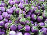 100 Pcs Eggplant Heirloom White Purple 'lamp bulb' Vegetable Seeds
