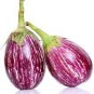 100 Pcs Eggplant Heirloom White Purple 'lamp bulb' Vegetable Seeds