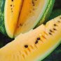 20 Pcs Colorful Ellipse Sweet Melon Seeds