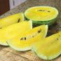 20 Pcs Colorful Ellipse Sweet Melon Seeds