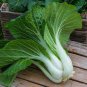 500 Pcs Pterocladia tenuis Chinese Little Greens Vegetable Seeds