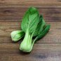 500 Pcs Pterocladia tenuis Chinese Little Greens Vegetable Seeds