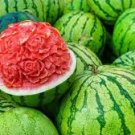 6 Pcs Watermelon Dark Green Stripe Red Inside Fruit Seeds 6 Pcs Watermelon Dark Green Stripe Red Inside Fruit Seeds