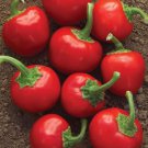 20 Pcs Cherry Bomb Red Hot Chile Pepper Seeds ( Capsicum annuum ) 20 Pcs Cherry Bomb Red Hot Chile Pepper Seeds ( Capsicum annuum )