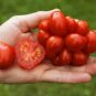100 Pcs Unusual Rare Heirloom Reisetomate Tomato Seeds