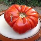 100 Pcs Heirloom Giant Monster Tomato Genuine Fresh Seeds