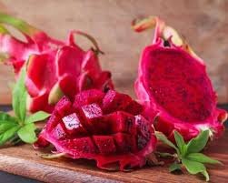 15 Pcs Hylocereus Undatus Red Dragon Fruit Seeds