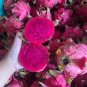 15 Pcs Hylocereus Undatus Red Dragon Fruit Seeds