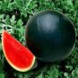 10 Pcs Big Black Yellow Skin Red Inside Watermelon Seeds