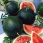 10 Pcs Big Black Yellow Skin Red Inside Watermelon Seeds