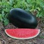 8 Pcs Giant Black Skin Red Inside Ellipse Watermelon Seeds
