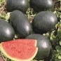 8 Pcs Giant Black Skin Red Inside Ellipse Watermelon Seeds