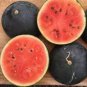 6 Pcs Black Skin Red Inside Round Seedless Watermelon Seeds