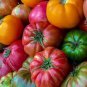 100 Pcs Rainbow / Black Elephant Tomato Seeds