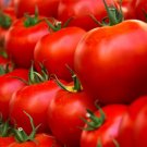 100 Pcs Husky Cherry Red Tomato Seeds
