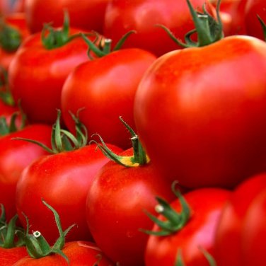 100 Pcs Husky Cherry Red Tomato Seeds