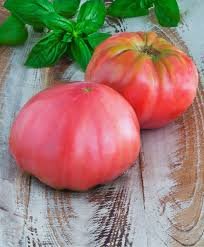 100 Pcs Tomato Brandywine Pink Organic Seeds
