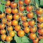 100 Pcs Cherry Tomato Mini Golden Round Fruit Seeds