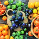 100 Pcs Rainbow Tomato Truss Cherry fruit Seeds 100 Pcs Rainbow Tomato Truss Cherry fruit Seeds