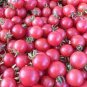 100 Pcs Tomato Cherry 'Rose Red Grape' Fruit Seeds