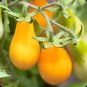 100 Pcs Organic Yellow Pear Cherry Tomato Fruit Seeds