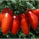 100 Pcs Red Banana Tomatoes Seeds 100 Pcs Red Banana Tomatoes Seeds