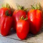 100 Pcs Red Banana Tomatoes Seeds