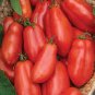 100 Pcs Red Banana Tomatoes Seeds