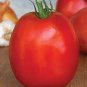 100 Pcs Tomato SuperSauce Hybrid Seeds