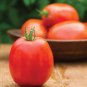 100 Pcs Tomato SuperSauce Hybrid Seeds