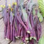 40 Pcs Red Chinese Cabbage Seeds Sauteed Chinese Kale Vegetables Organic